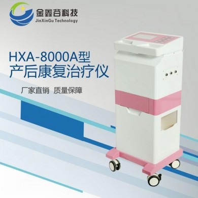 HXA-8000A型产后康复治疗仪_简介