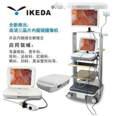 便携一体化内窥镜_简介