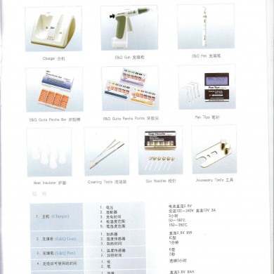 E&Q Wireless无线三维根管充填系统_简介