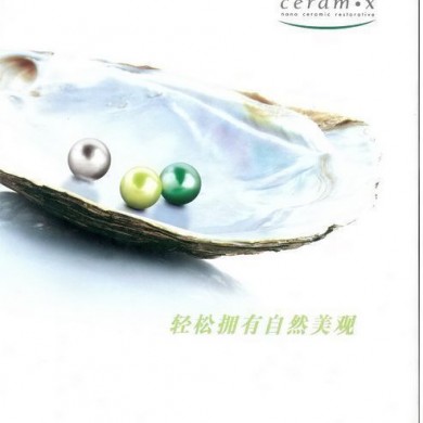 登士柏瓷纳米树脂_简介