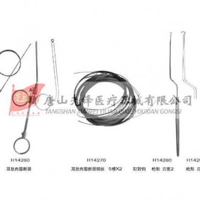 不锈钢枪形耵聍钩_简介