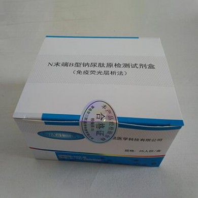 N末端B型钠尿肽原试剂盒_简介
