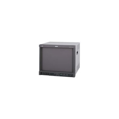 JVC监视器DT-V1710CG_简介