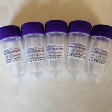 10%福尔马林中性固定液5ml/瓶_简介