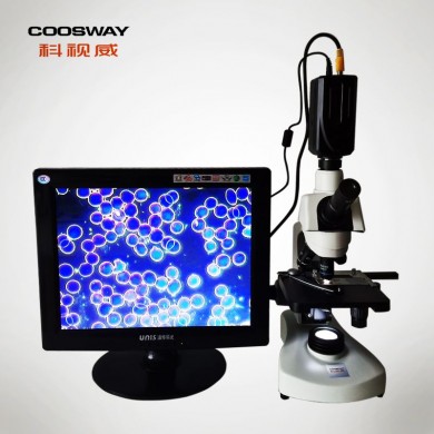 单目一滴血检测仪  CSW-32HB_简介