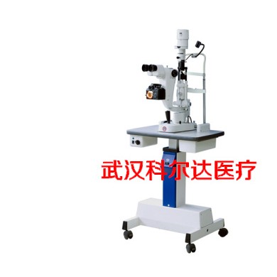 数码裂隙灯显微镜（YZ5S）_简介