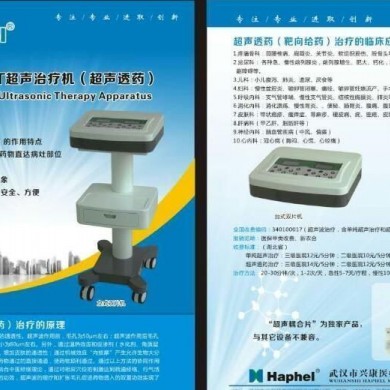 超声中频导药仪_简介
