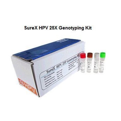 SureX 人乳头瘤病毒（HPV）分型检测试剂盒_简介