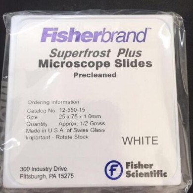 Fisher飞世尔 进口 粘附载玻片 12-550-15 72片/盒 防脱载玻片_简介