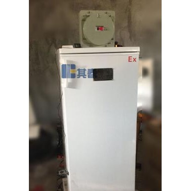 BL-LD140D 立式单门防爆冷冻柜_简介