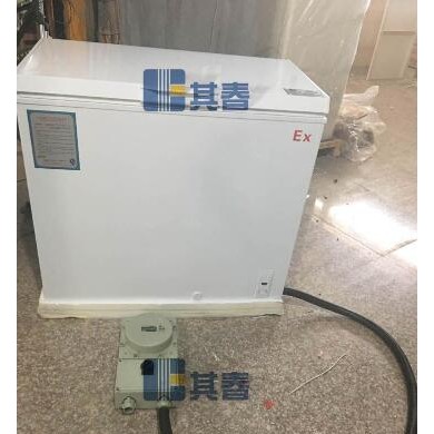 卧式防爆冰柜BL-WD200D_简介