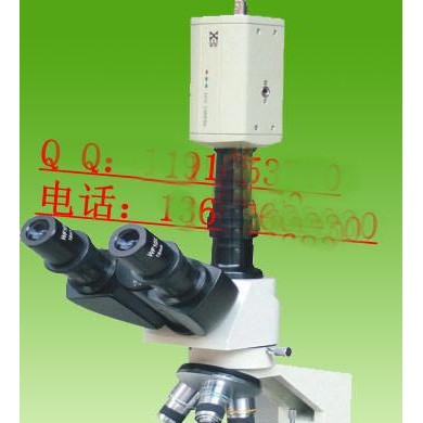一滴血检测仪_简介