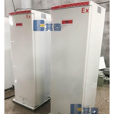 BL-DW270FL低温-40℃防爆立式冰柜_简介