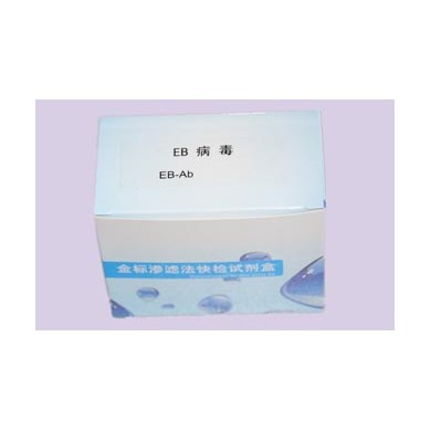 EB病毒壳抗原（EBVCA）IgA抗体检测试剂盒_简介