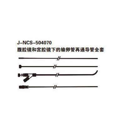 美国COOK导丝_简介
