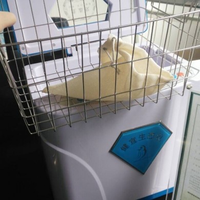 健康生态仪_简介