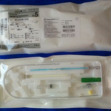 血管鞘_简介