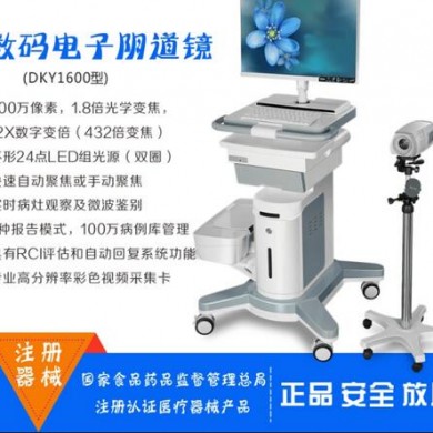 数码电子阴道镜_简介