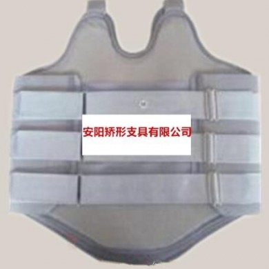低温热塑板胸腰椎固定矫形器矫正支具支架_简介