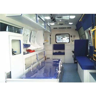 丰田海狮监护型救护车_简介