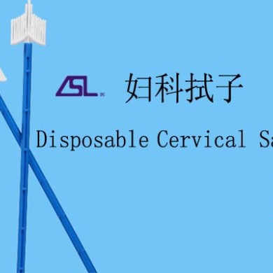 妇科拭子_简介
