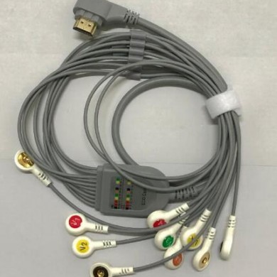 翰纬导联线,动态导联线_简介