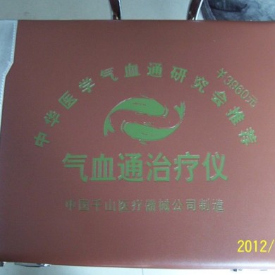 大中华气血通治疗仪_简介