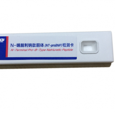 N-端脑利钠肽前体（NT-proBNP）_简介