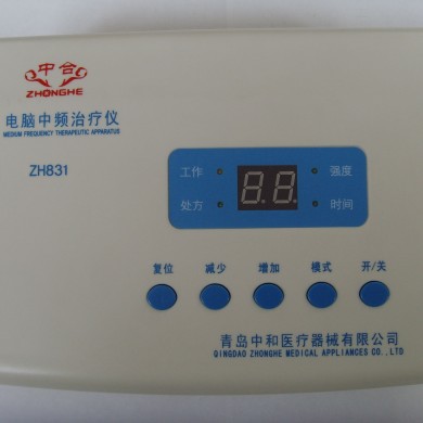 离子导入治疗仪_简介