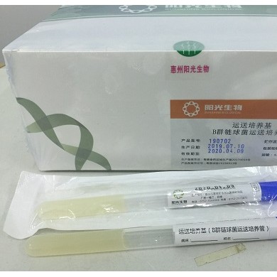 B族链球菌检测_简介