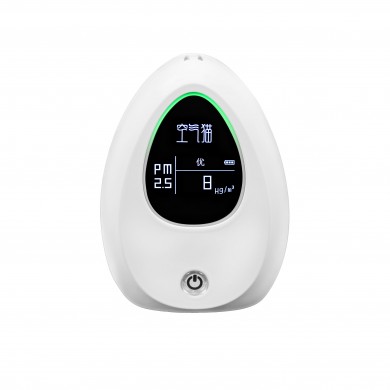 空气猫 P2型_简介