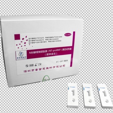 N末端B型钠尿肽原（NT-proNBNP）测定试剂盒（胶体金法）_简介
