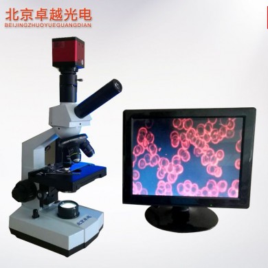 一滴血检测仪_简介