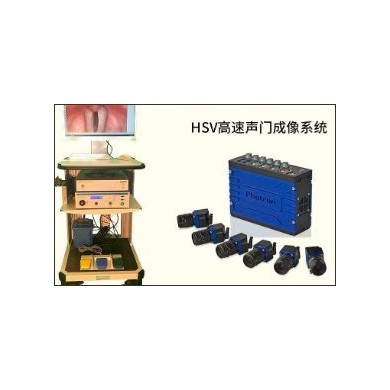 英国HSV彩色高速声门成像系统_简介