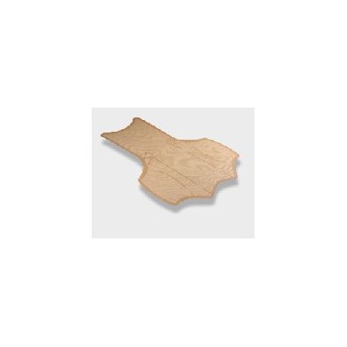 足部高吸附敷料_简介