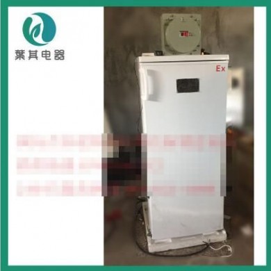 低温防爆冰箱BL-LD140D -25℃立式单门防爆冷冻柜_简介