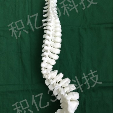 3D打印手术规划模型_简介