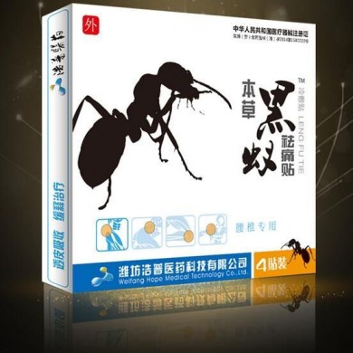 风湿骨病的克星--本草黒蚁祛痛贴_简介