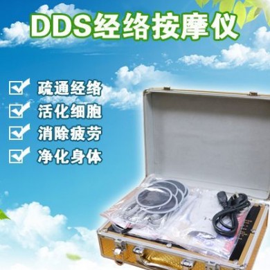 DDS经络按摩仪/美容养生仪_简介