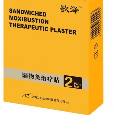 隔物灸治疗贴_简介