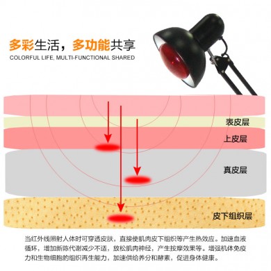 红外线理疗灯_简介