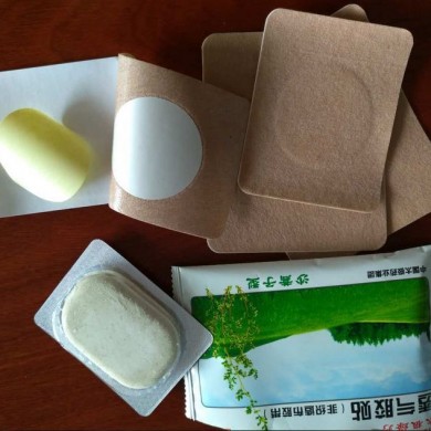 沙蒿子透气胶贴_简介