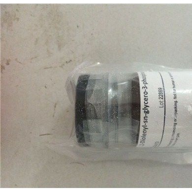 棕榈酰溶血卵磷脂_简介