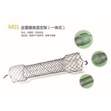 消化道支架食道胆道肠道支架_简介