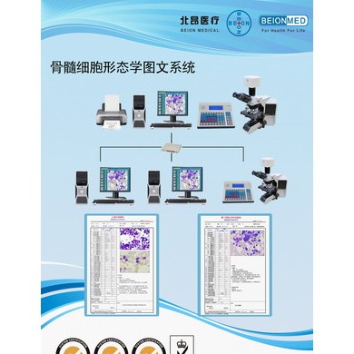 骨髓细胞形态学软件_简介