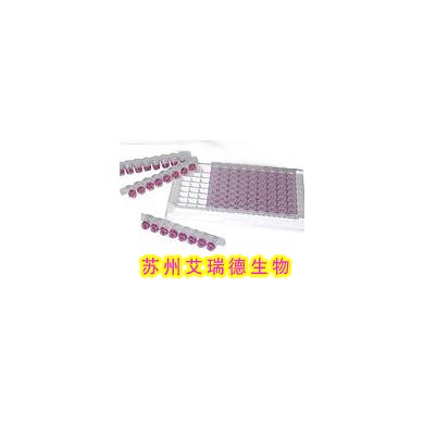 猪瘟病毒IgG抗体检测试剂盒（酶联免疫法）_简介