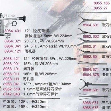 狼牌经皮肾镜_简介