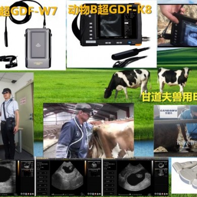 兽用B超GDF-W7_简介