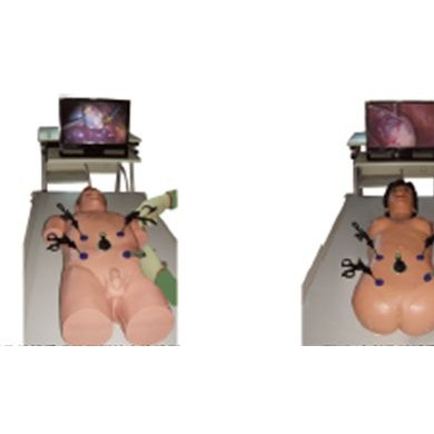 腹腔镜手术技能训练人体模型_简介