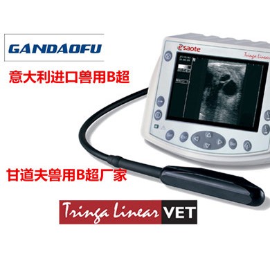 动物B超/兽用B超_简介